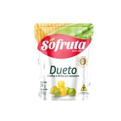 DUETO MILH/ERVIL SACHE170G SO FRUTA