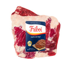 CAPA DE FILE BOV CONG FRIBOI