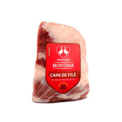 CAPA DE FILE CONG MONTANA